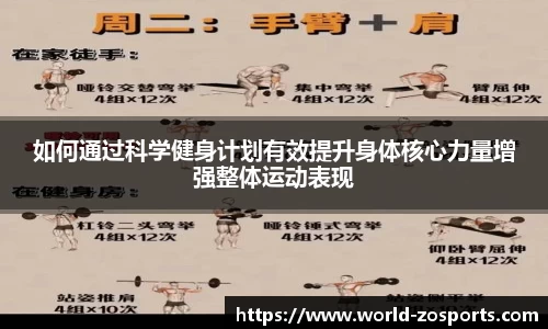 中欧体育